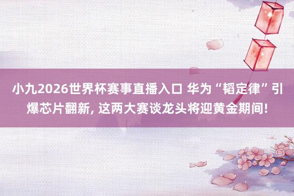 小九2026世界杯赛事直播入口 华为“韬定律”引爆芯片翻新, 这两大赛谈龙头将迎黄金期间!