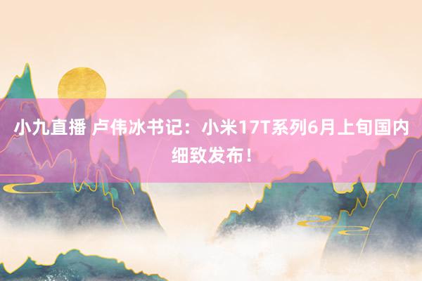 小九直播 卢伟冰书记：小米17T系列6月上旬国内细致发布！