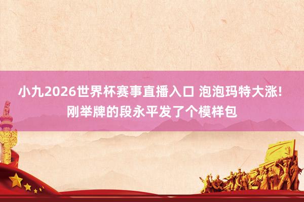 小九2026世界杯赛事直播入口 泡泡玛特大涨! 刚举牌的段永平发了个模样包