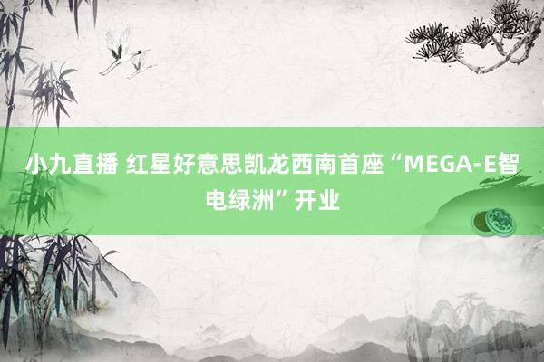 小九直播 红星好意思凯龙西南首座“MEGA-E智电绿洲”开业