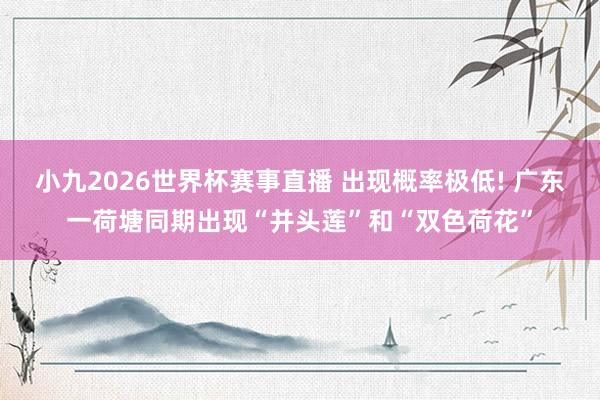 小九2026世界杯赛事直播 出现概率极低! 广东一荷塘同期出现“并头莲”和“双色荷花”