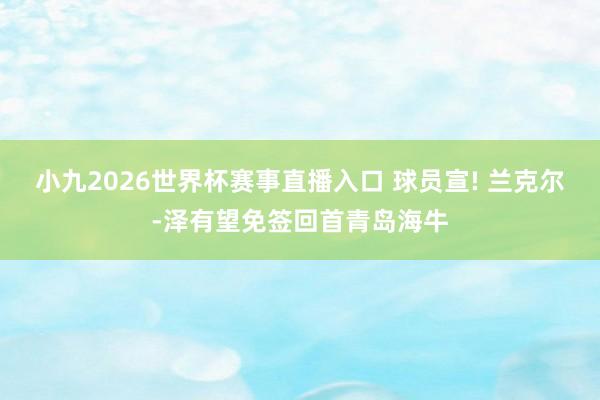 小九2026世界杯赛事直播入口 球员宣! 兰克尔-泽有望免签回首青岛海牛