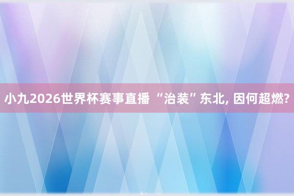 小九2026世界杯赛事直播 “治装”东北, 因何超燃?