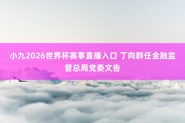 小九2026世界杯赛事直播入口 丁向群任金融监管总局党委文告