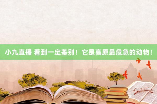 小九直播 看到一定鉴别！它是高原最危急的动物！