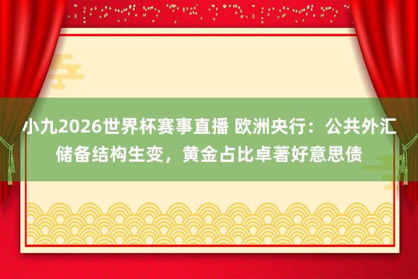小九2026世界杯赛事直播 欧洲央行：公共外汇储备结构生变，