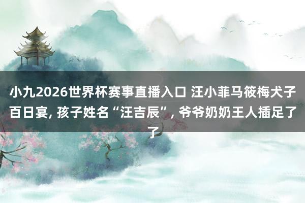 小九2026世界杯赛事直播入口 汪小菲马筱梅犬子百日宴, 孩子姓名“汪吉辰”, 爷爷奶奶王人插足了
