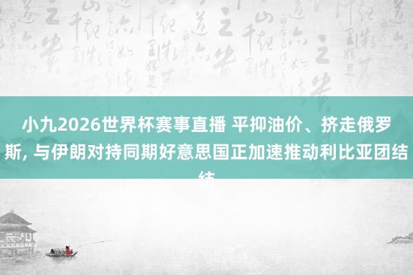 小九2026世界杯赛事直播 平抑油价、挤走俄罗斯， 与伊朗对持同期好意思国正加速推动利比亚团结