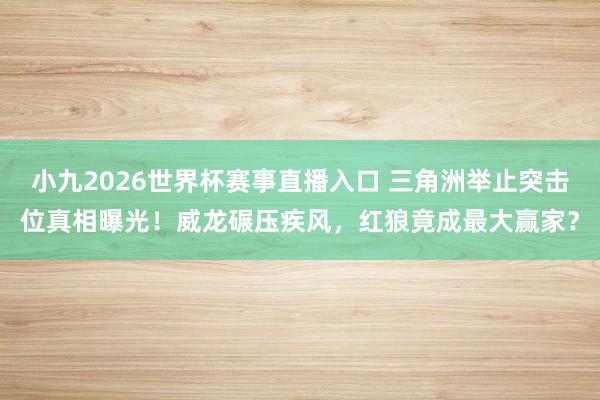 小九2026世界杯赛事直播入口 三角洲举止突击位真相曝光！威龙碾压疾风，红狼竟成最大赢家？
