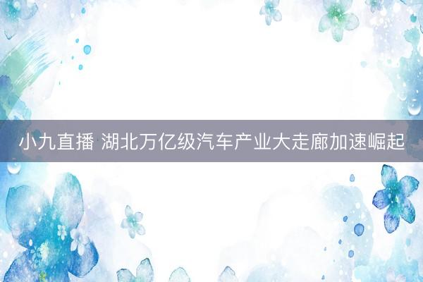 小九直播 湖北万亿级汽车产业大走廊加速崛起
