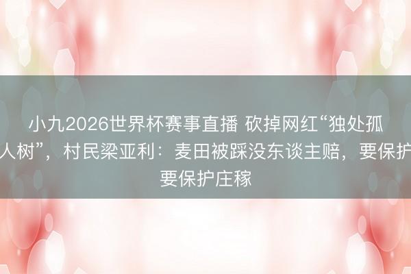 小九2026世界杯赛事直播 砍掉网红“独处孤身一人树”，村民梁亚利：麦田被踩没东谈主赔，要保护庄稼