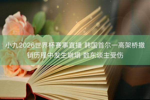 小九2026世界杯赛事直播 韩国首尔一高架桥撤销历程中发生崩塌 数东谈主受伤