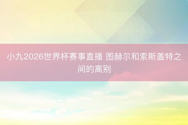 小九2026世界杯赛事直播 图赫尔和索斯盖特之间的离别