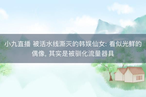 小九直播 被活水线澌灭的韩娱仙女: 看似光鲜的偶像， 其实是被驯化流量器具
